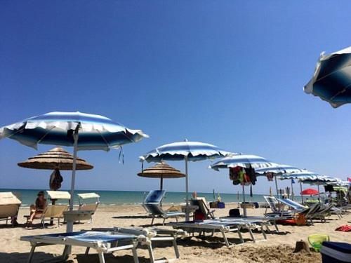 Nuovo Hotel Settibi 20M Dalla Spiaggia Giulianova Eksteriør bilde